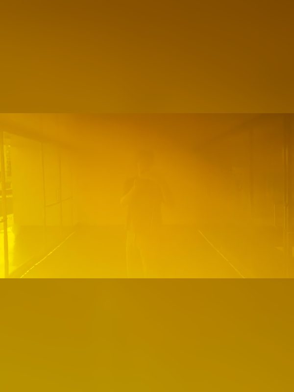 Welcome to the Walker